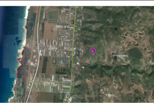 יער השייטת1